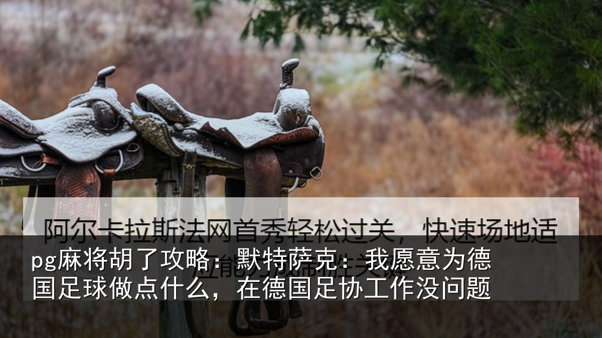 pg麻将胡了攻略：默特萨克：我愿意相关情况么在相关情况题